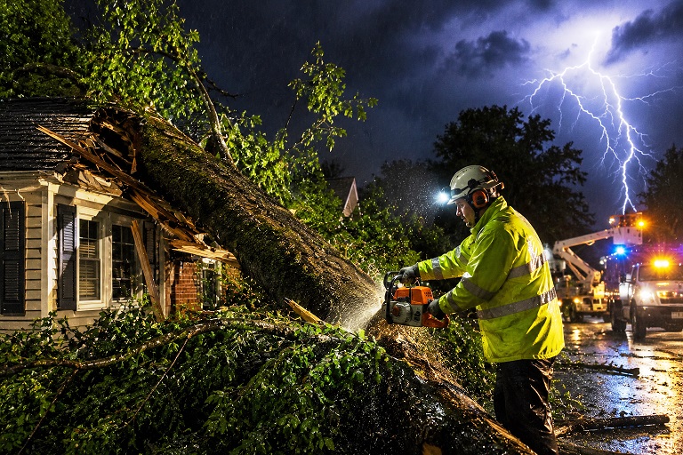 Storm damage tree removal mankato mn